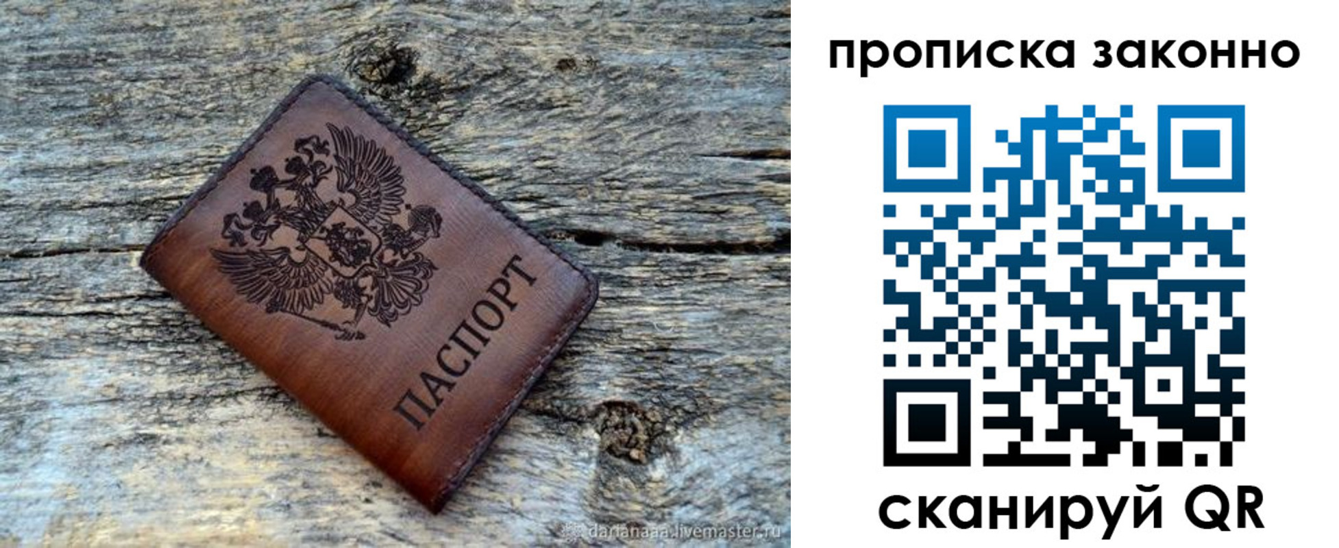 прописка для школы в Тосно
